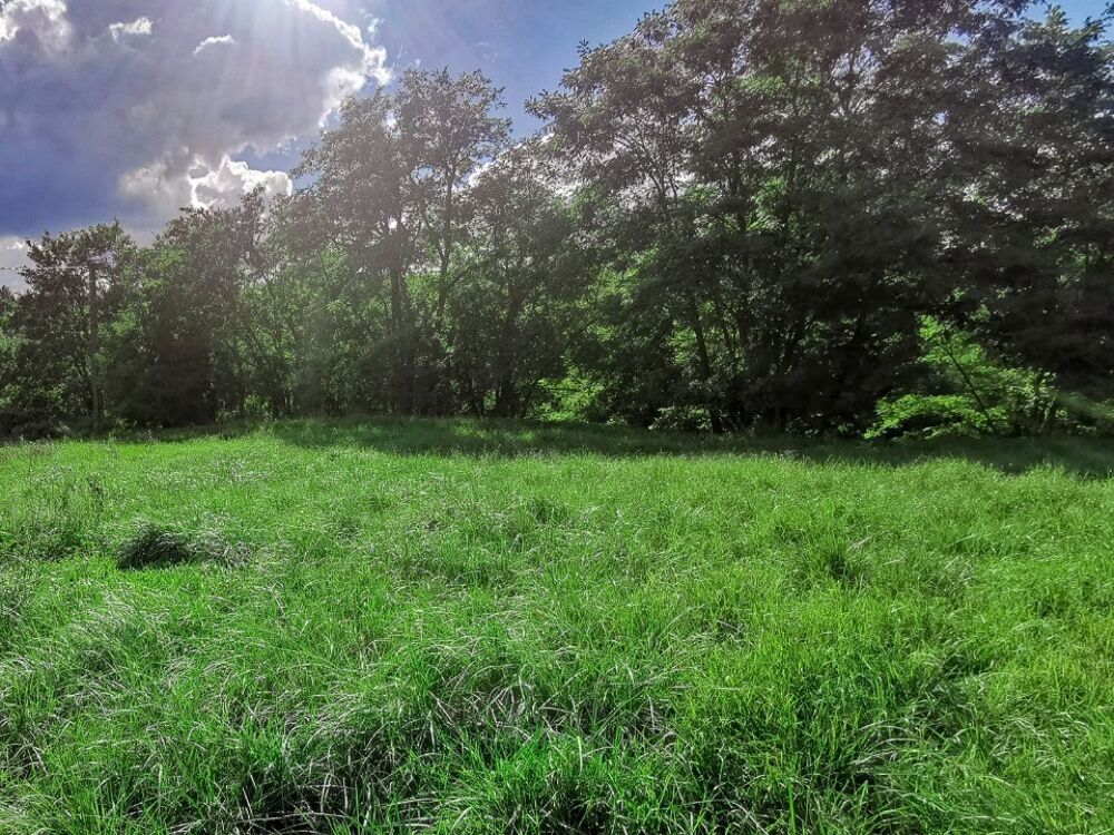 vente Terrain - 1000 m² Rians (83560)