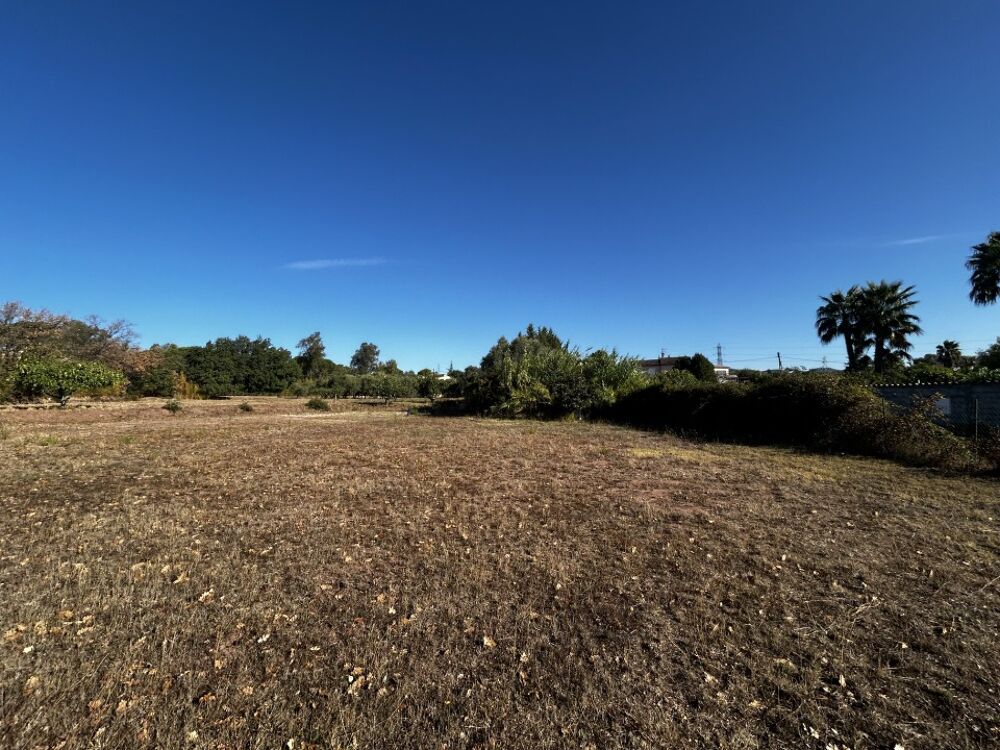 vente Terrain - 1055 m² Puget-sur-Argens (83480)