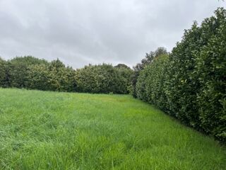  Terrain  vendre 555 m
