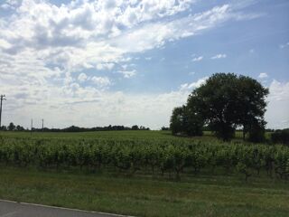  Terrain � vendre 1000 m�