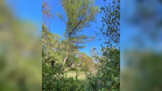  Maison 4 pi�ces 90 m� N�mes