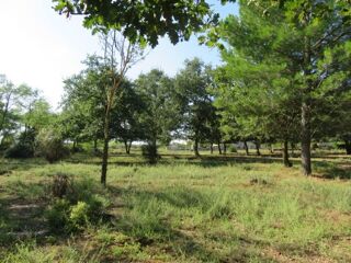  Maison 4 pi�ces 90 m� Montignargues