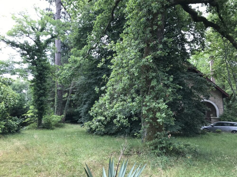 vente Terrain - 550 m² Le Teich (33470)
