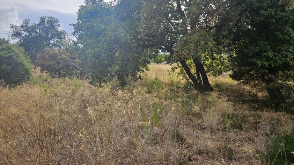 vente Maison - 4 pièce(s) - 74 m² Fréjus (83600)