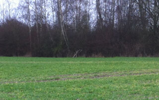  Maison 6 pices 130 m Montesson