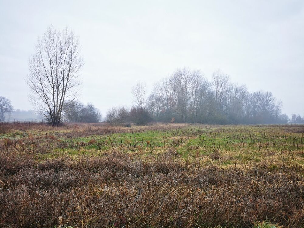 vente Maison - 4 pièce(s) - 90 m² Viterbe (81220)