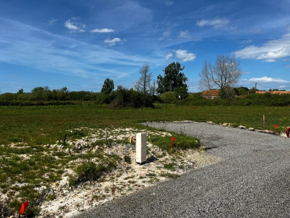 vente Terrain - 379 m² Coëx (85220)