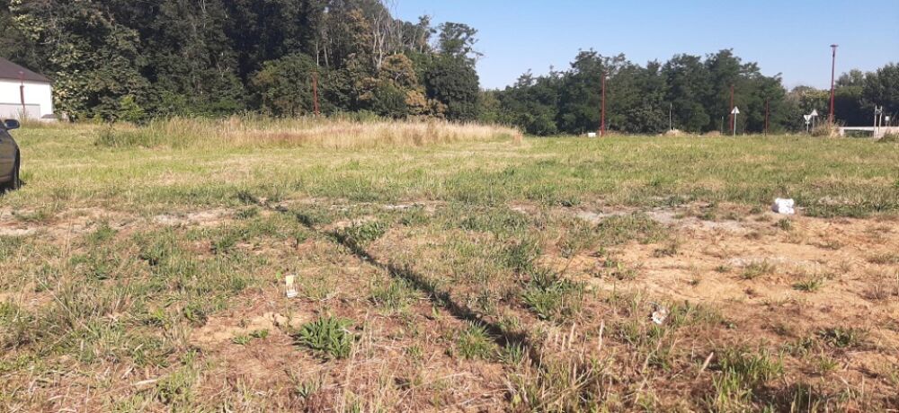vente Terrain - 311 m² Sargé-lès-le-Mans (72190)