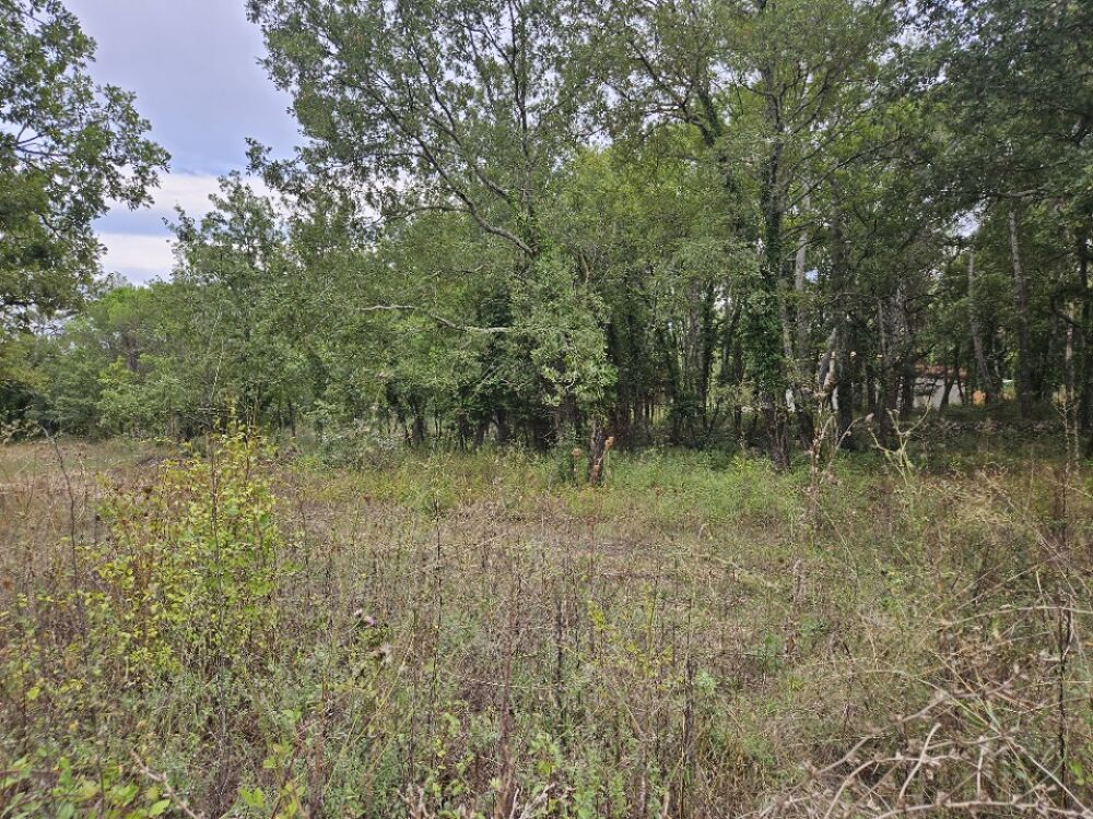 vente Terrain - 1545 m² Tourrettes (83440)