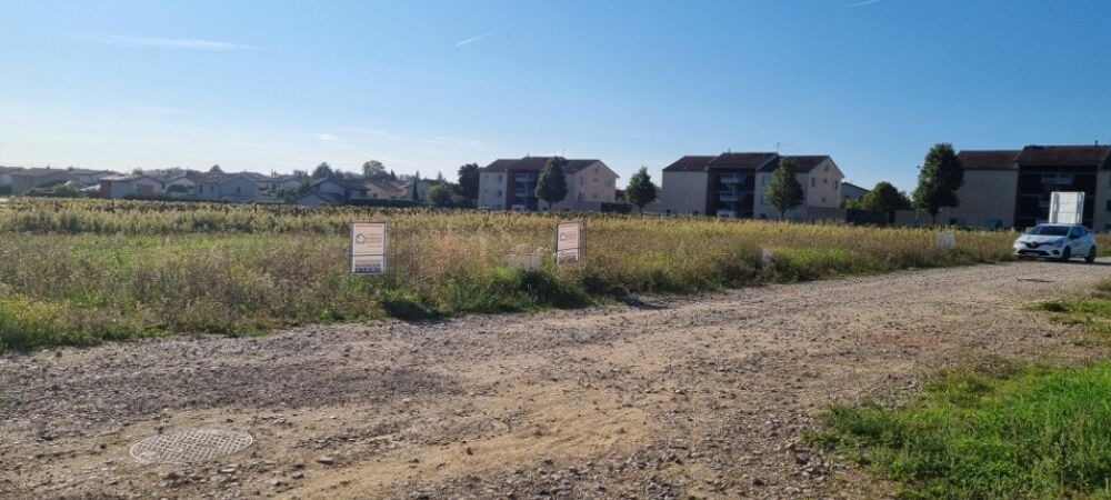 vente Terrain - 308 m² Montanay (69250)