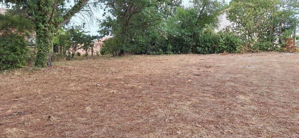 vente Maison - 5 pièce(s) - 130 m² Plaisance-du-Touch (31830)