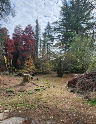  Terrain à vendre 1000 m²