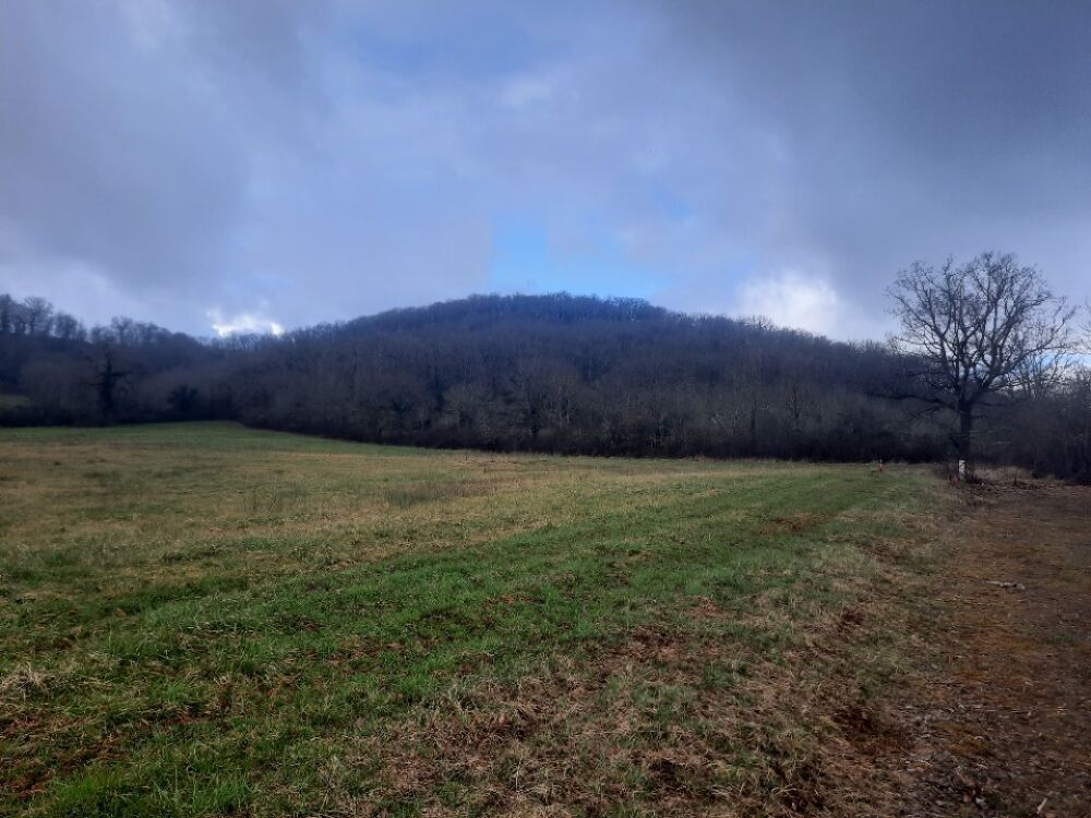 vente Terrain - 1377 m² Loubressac (46130)