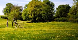  Maison � vendre 2 pi�ces 54 m�