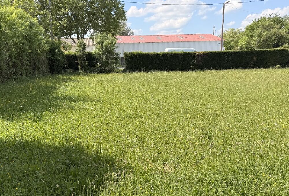 vente Maison - 5 pièce(s) - 91 m² Revel (31250)