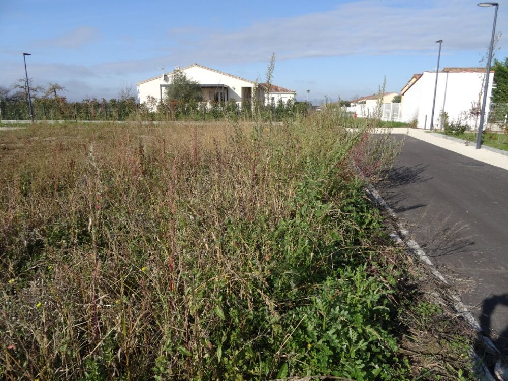 "Votre agence Maisons France Confort d'Aucamville vous p....