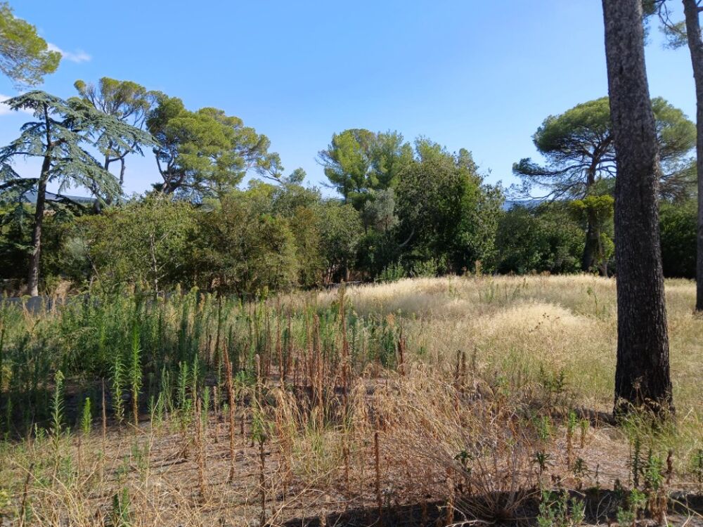 Maison Bioclima de 140 m² proposée ici sur 900 m² de ter....