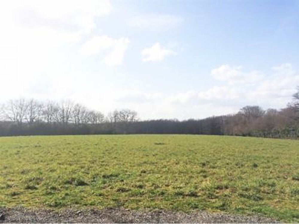 vente Terrain - 600 m² Nouzilly (37380)