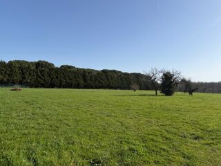  Terrain � vendre 1000 m�