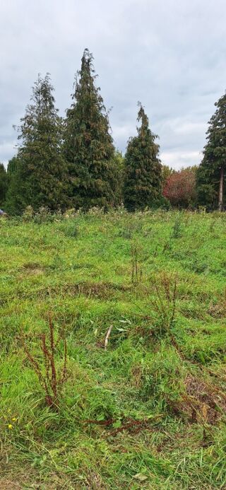  Terrain 500 m� Saint-jean-du-cardonnay