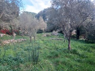  Terrain � vendre 970 m�