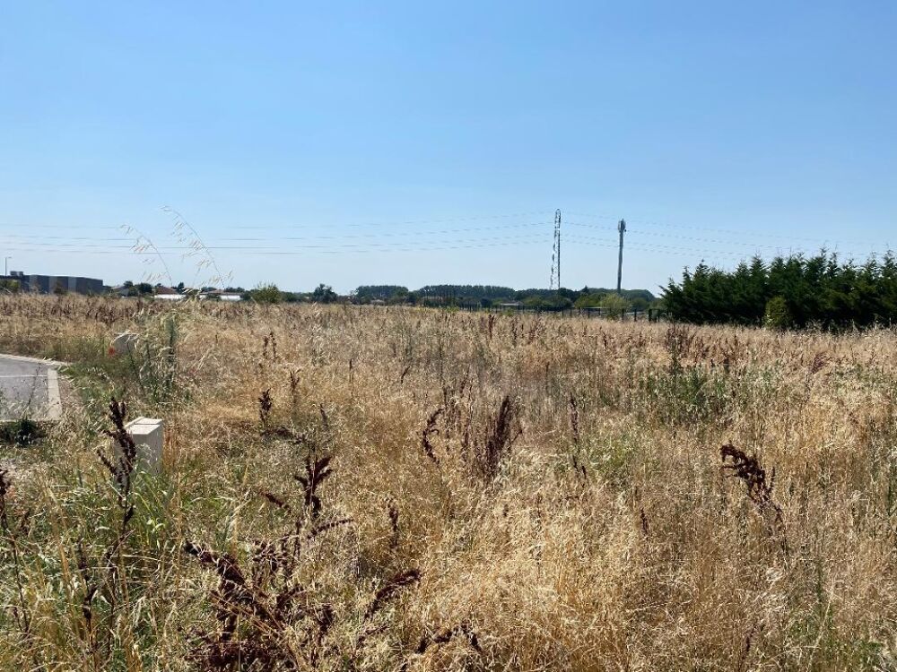 vente Maison - 4 pièce(s) - 83 m² Castelsarrasin (82100)