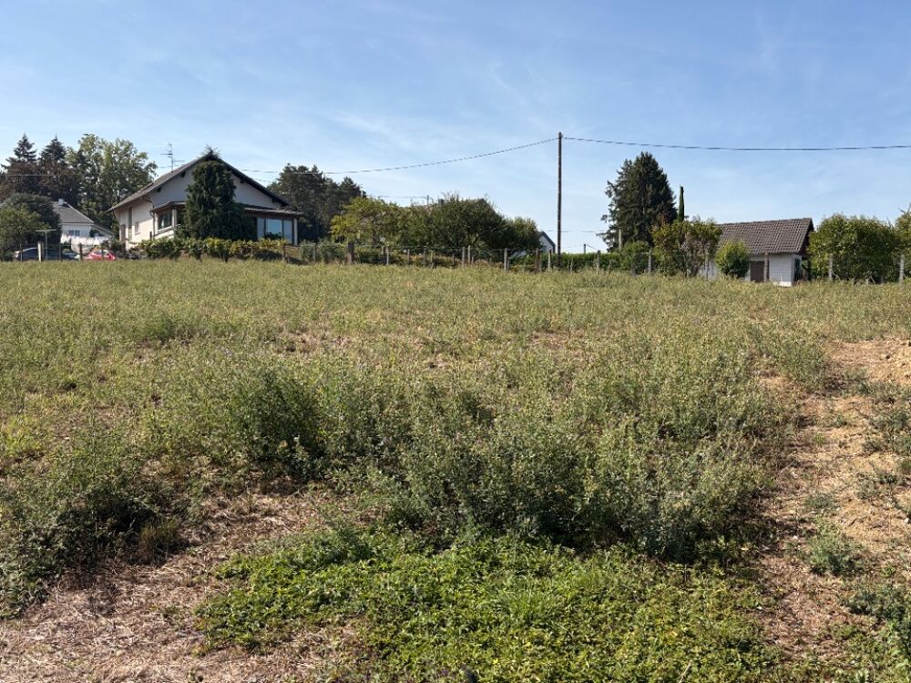 vente Terrain - 429 m² Dietwiller (68440)