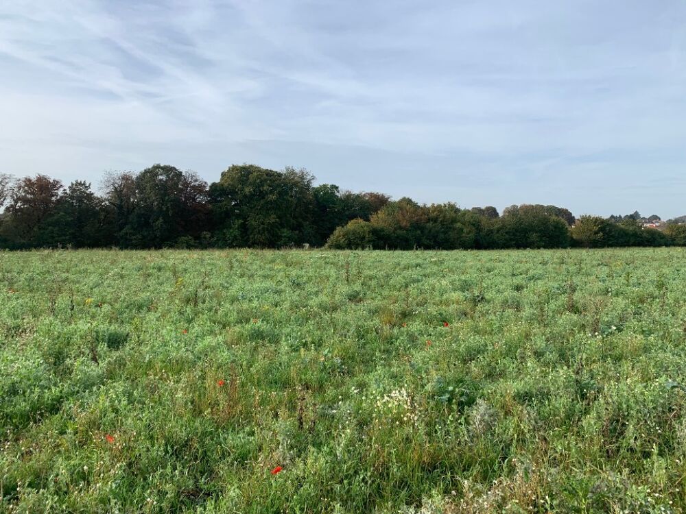 VENTE : maison T5 (90 m²) à Ottange IDÉALEMENT SITUÉ....