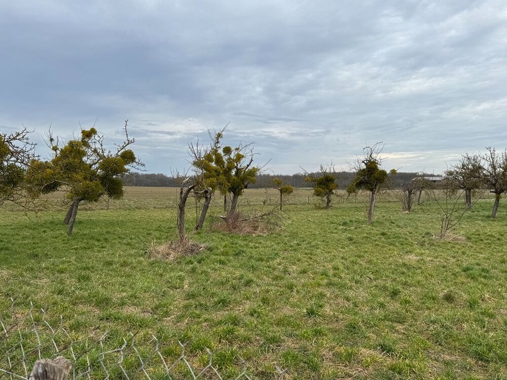vente Terrain - 405 m² Houdan (78550)
