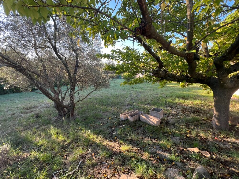 vente Terrain - 505 m² Clermont-l'Hérault (34800)