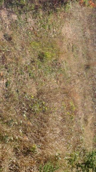  Maison 4 pi�ces 227 m� Cahors