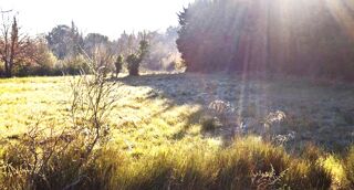 vente Terrain - 2745 m² Thuir (66300)