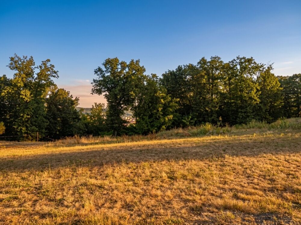 vente Terrain - 1500 m² Notre-Dame-de-Sanilhac (24660)