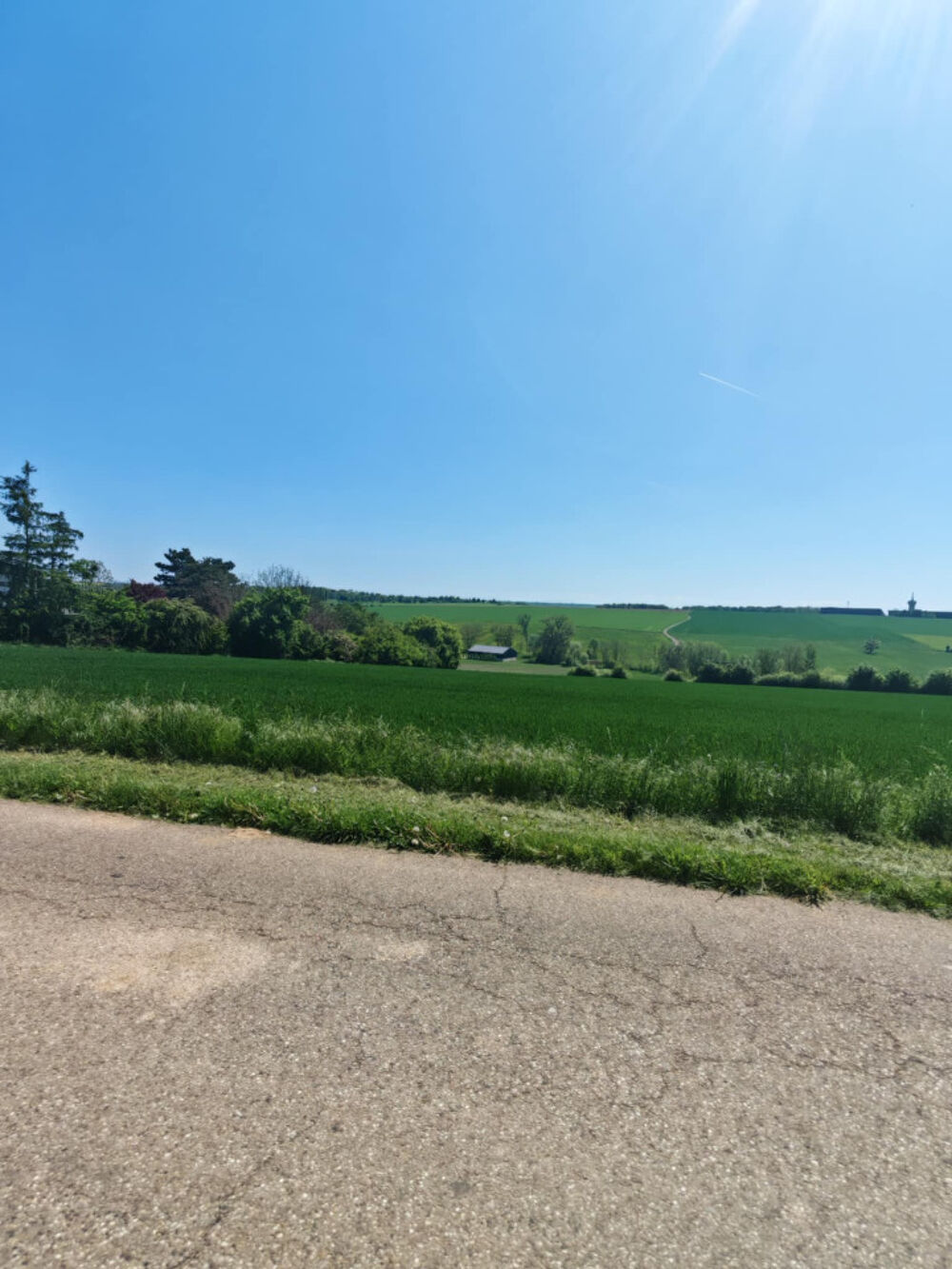 vente Terrain - 600 m² Pournoy-la-Grasse (57420)