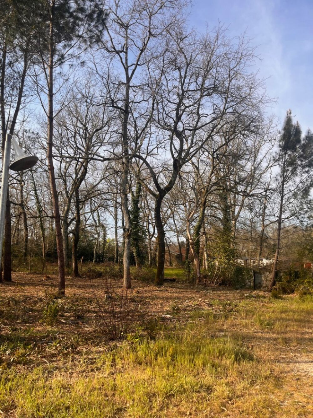 vente Terrain - 1000 m² Landiras (33720)