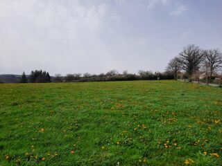  Terrain 1500 m² Roannes-saint-mary