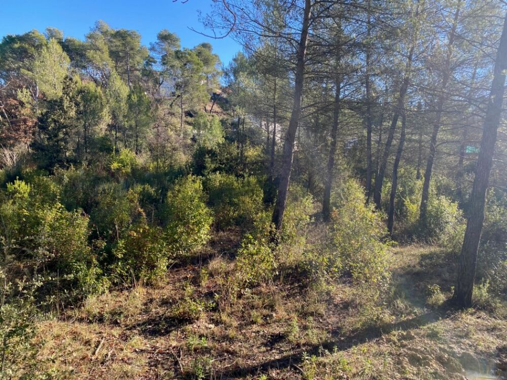 vente Terrain - 399 m² Brignoles (83170)