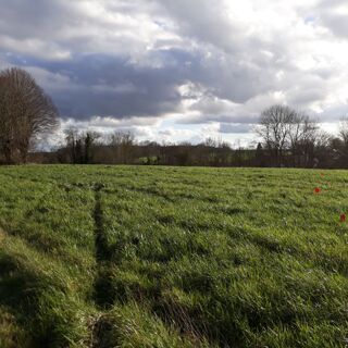  Maison 5 pices 105 m Hacqueville