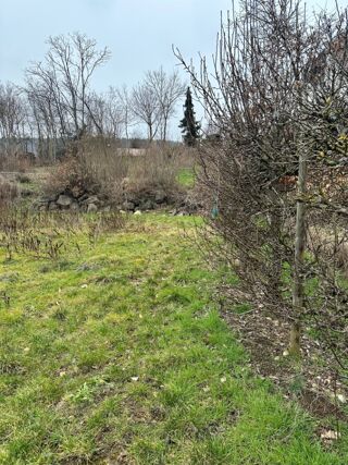  Maison 5 pices 137 m Vgtlinshoffen