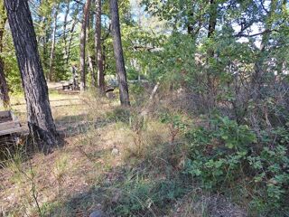  Terrain � vendre 980 m�