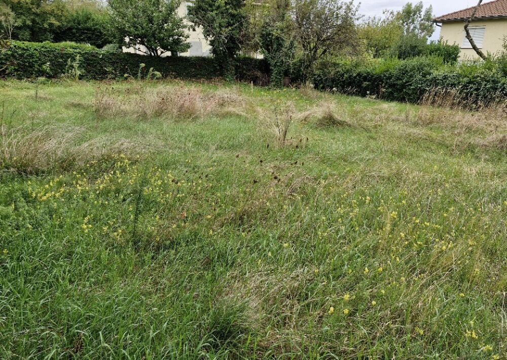 vente Terrain - 500 m² Rillieux-la-Pape (69140)