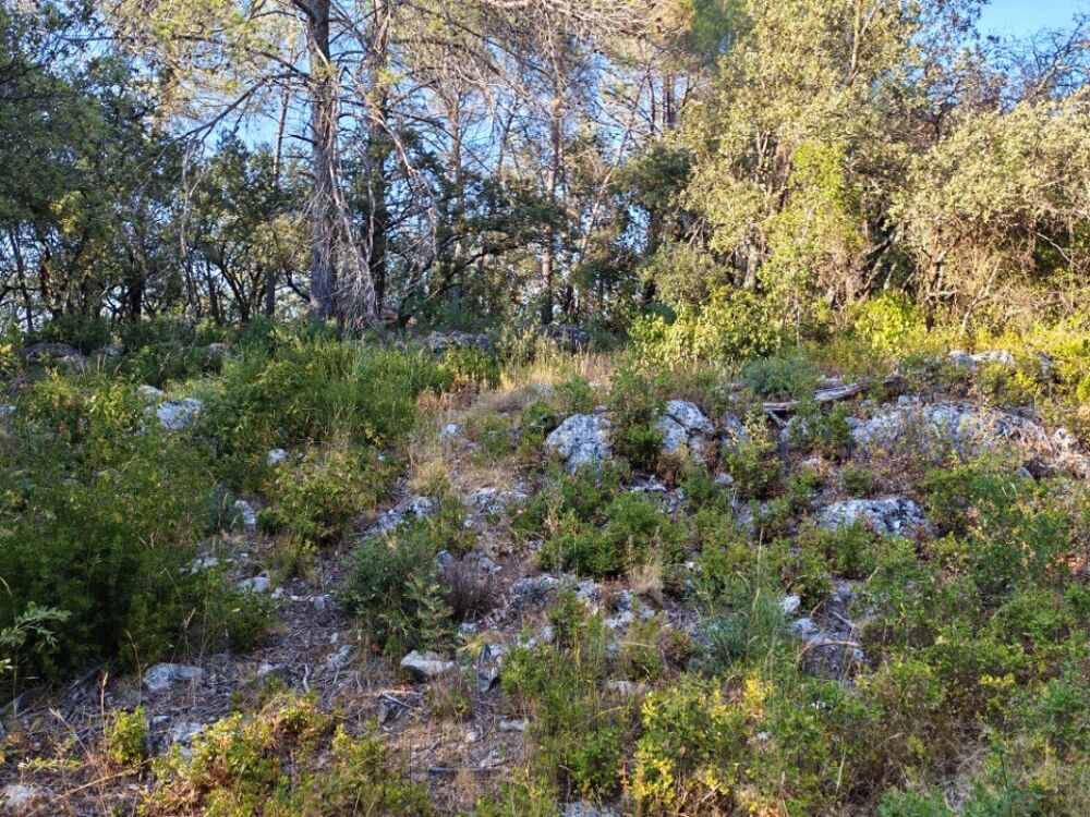 vente Terrain - 1920 m² Camps-la-Source (83170)