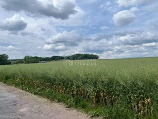  Terrain � vendre 501 m�