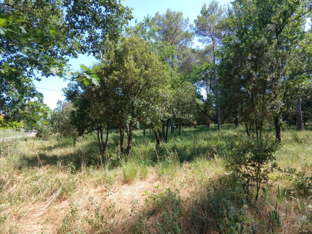 vente Terrain - 650 m² Garéoult (83136)