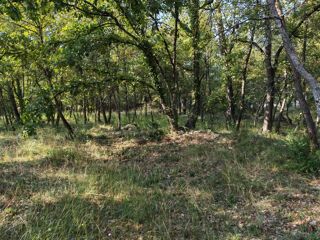  Maison 4 pi�ces 100 m� Trans-en-provence