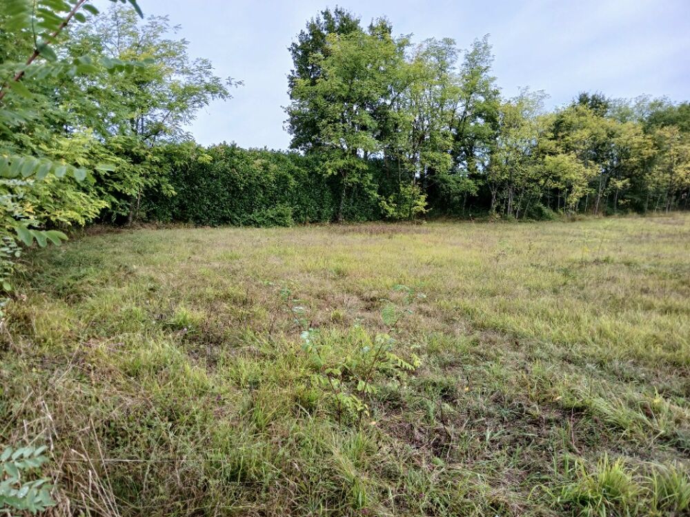 vente Terrain - 1800 m² Montagrier (24350)
