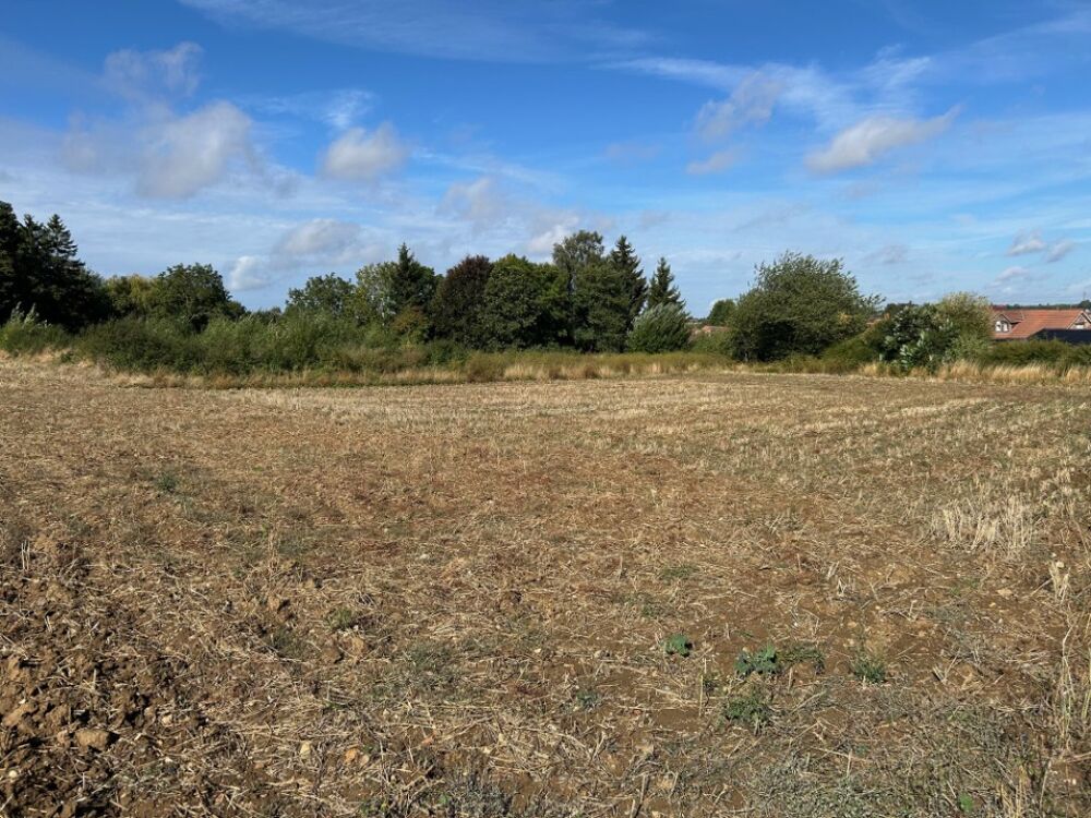 vente Maison - 7 pièce(s) - 120 m² Calonne-Ricouart (62470)