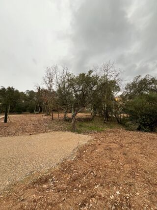  Maison 4 pi�ces 93 m� Vidauban