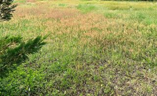  Terrain � vendre 900 m�