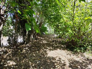  Terrain � vendre 506 m�